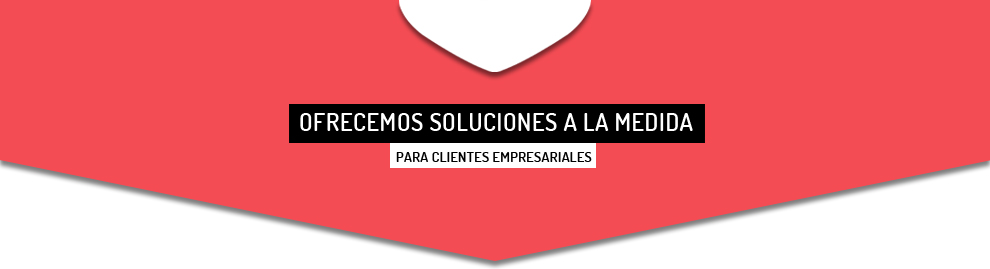 soluciones a la medida